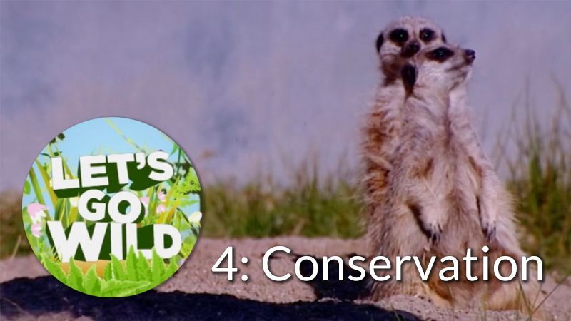 Let's Go Wild 4: Conservation
