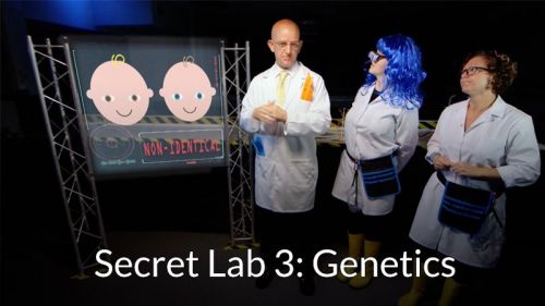 Secret Lab 3: Genetics