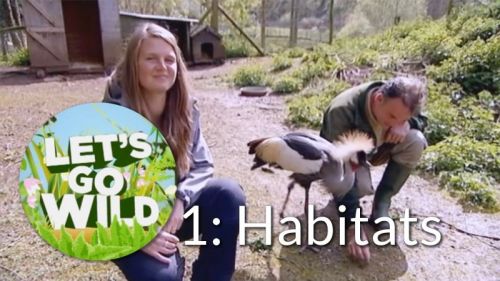 Let's Go Wild 1: Habitats