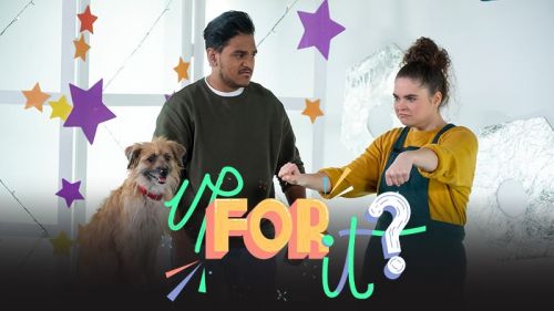 Up For It? Series 3: Episode 6