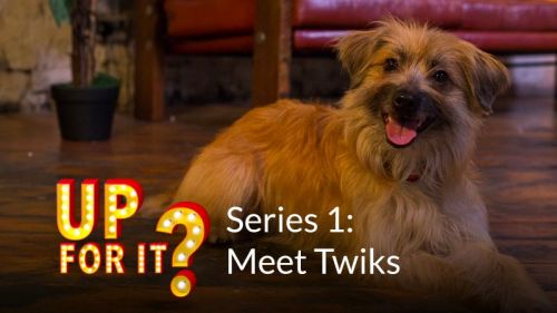 Up For It? 1: Meet Twiks!
